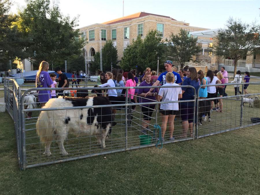 Almost 500 students stopped by the petting zoo on Wednesday evening.
