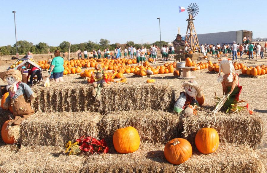 People visit Pumpkins on the Prairie to pick out the best pumpkin.
