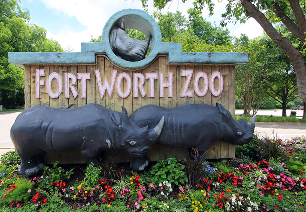 The+Fort+Worth+Zoo+has+reopened.+%28TCU360+Staff%29