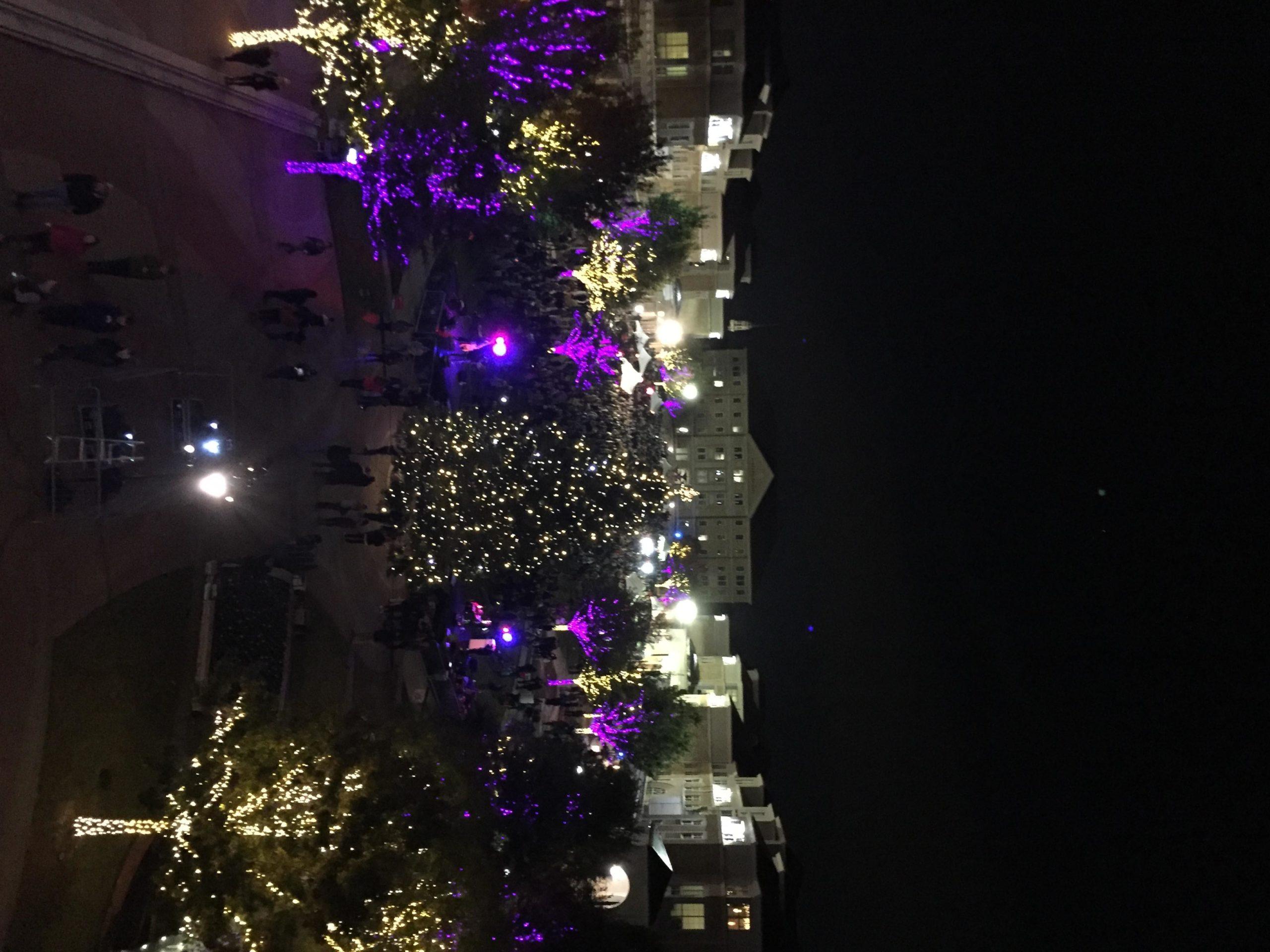TCU+celebrated+the+beginning+of+the+holiday+season+by+lighting+a+43+foot+Christmas+tree.+