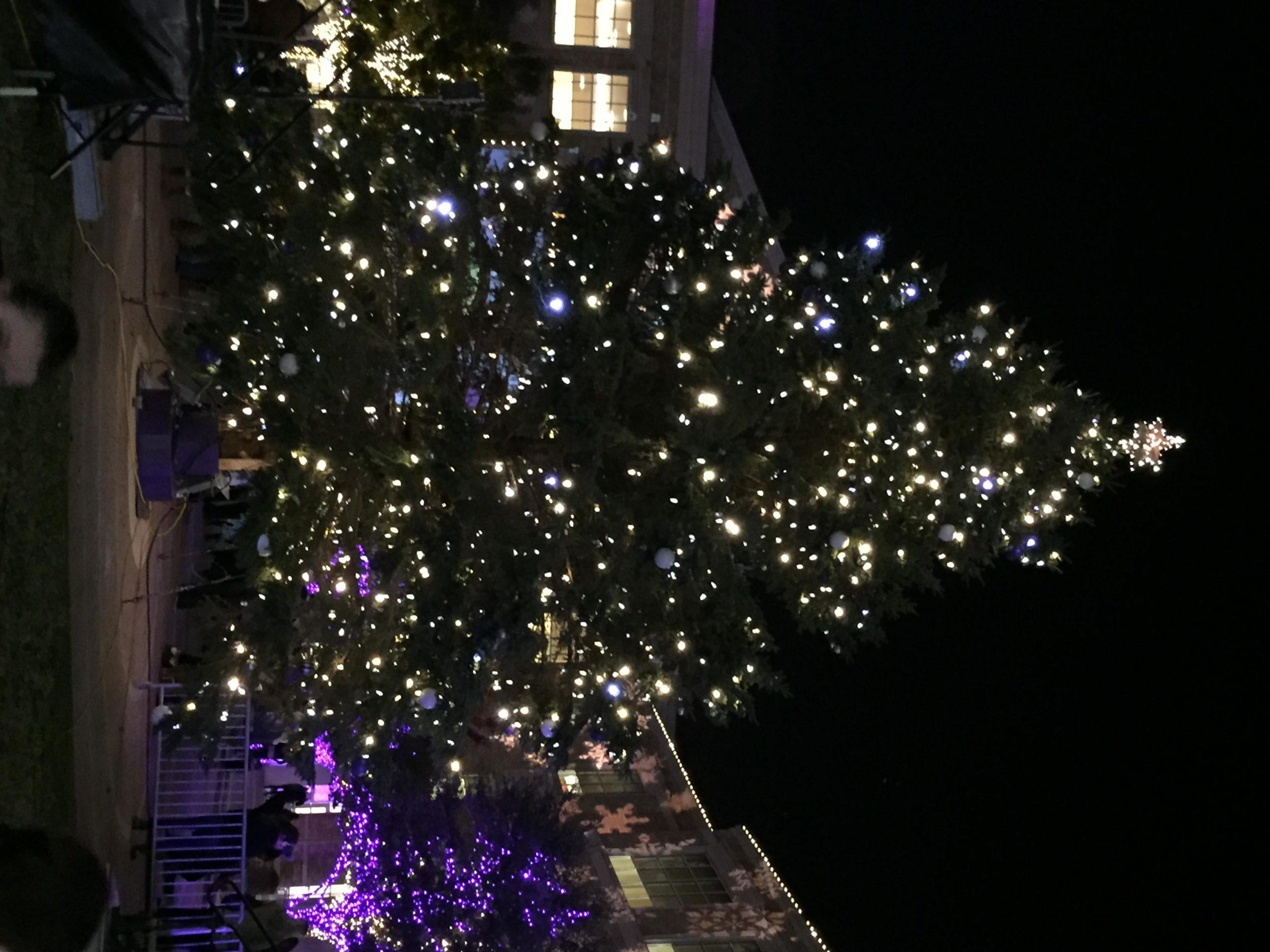 TCU+celebrated+the+beginning+of+the+holiday+season+by+lighting+a+43+foot+Christmas+tree.+