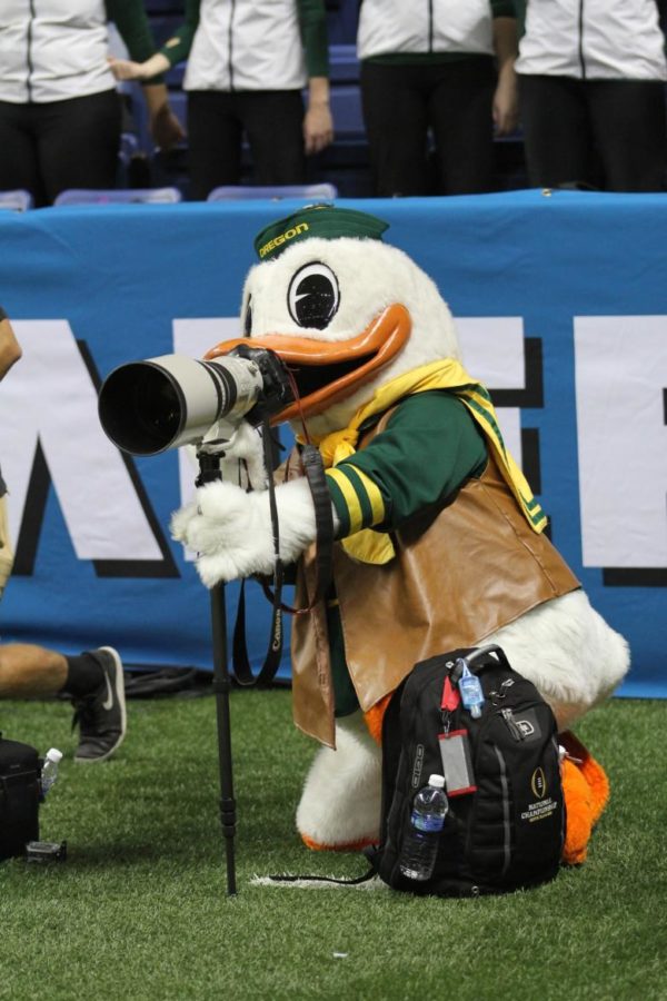 The Oregon Duck mascot, complete with a leather vest and silver spurs for the Alamo Bowl, steals a camera in the Alamo Bowl Quarterback Bram Kohlhausen won offensive player of the game in the Valero Alamo Bowl in the San Antonio Alamodome on Jan. 2, 2016.