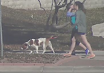 TCU Police released this photo of the dog alleged to be involved in Tuesday afternoons attack and its owners. (Courtesy of TCU Police)
