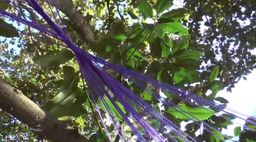 Purple+string+was+wrapped+around+branches+in+the+Moudy+atrium+March+28+as+part+of+the+Art+in+Unexpected+Places+project.