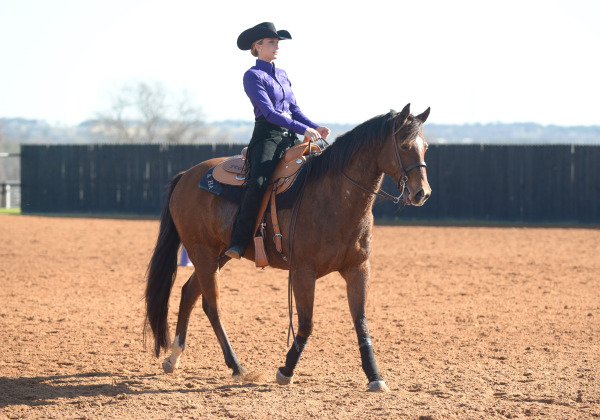 Riding high: Equestrian team eyes another shot at championship