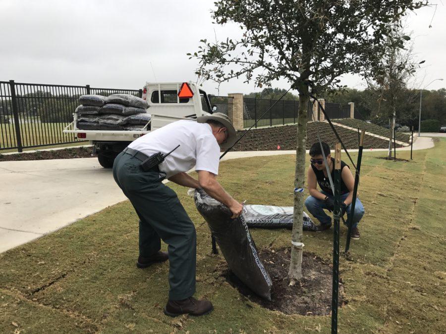 TCU physical plant worker and student Justin Jung spread Mulch around a tree for TCUs Arbor Day. 