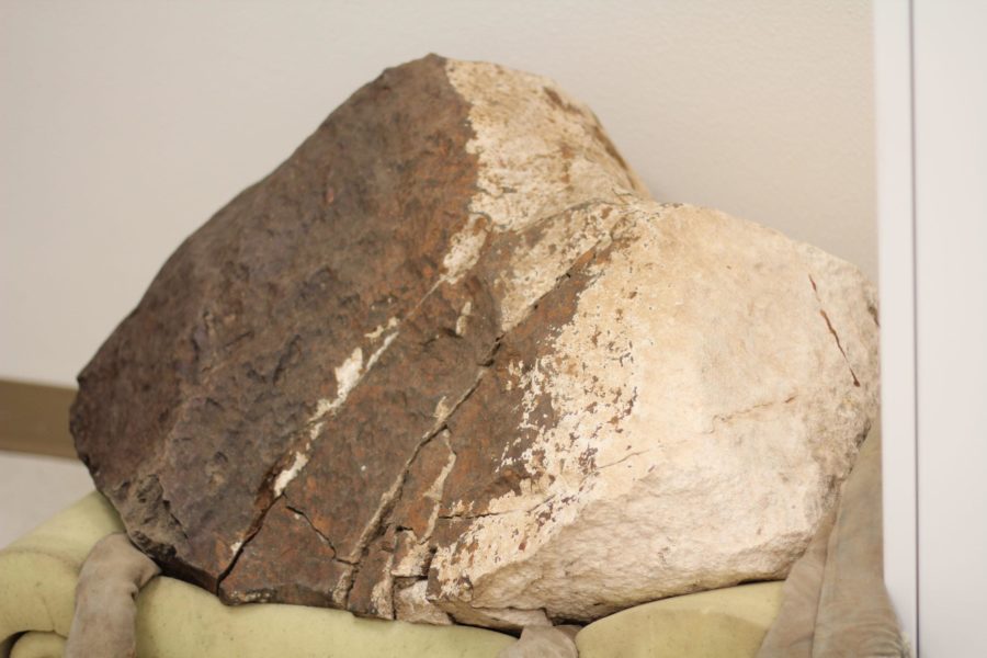 The meteorite is the largest found in Texas and the second largest in the United States. (Shane Battis/TCU 360)