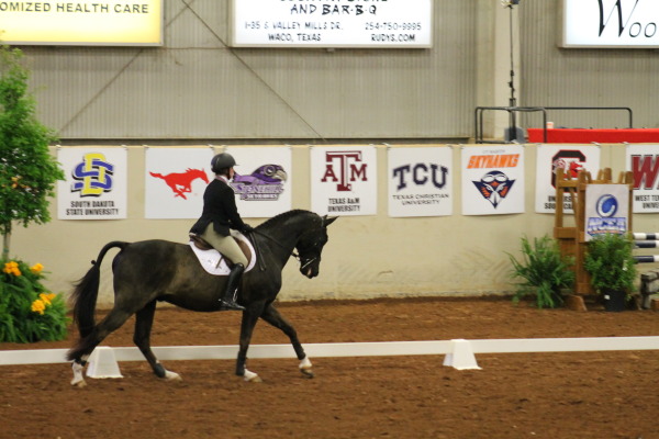 TCU Equestrian competes at the NCEA Championships in Waco, Texas on April 15, 2017. (GOFROGS.com)