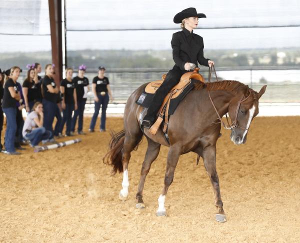 TCU Equestrian opened their season on Friday against Texas Tech and North Central Texas with a strong win.