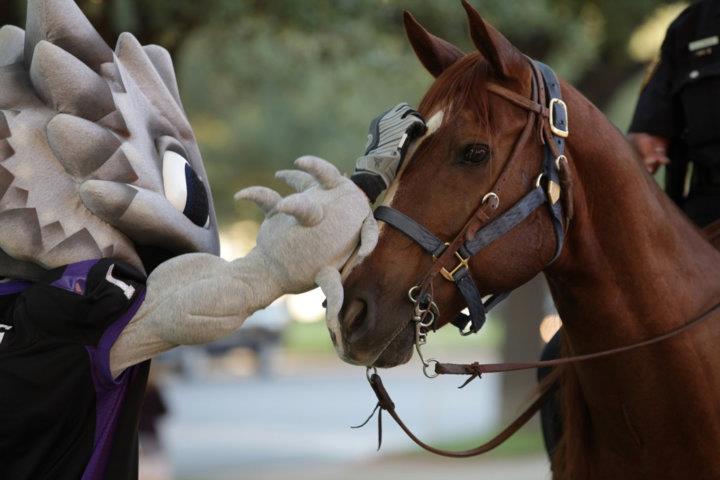 Blessing of the Animals service returns after 6 year hiatus