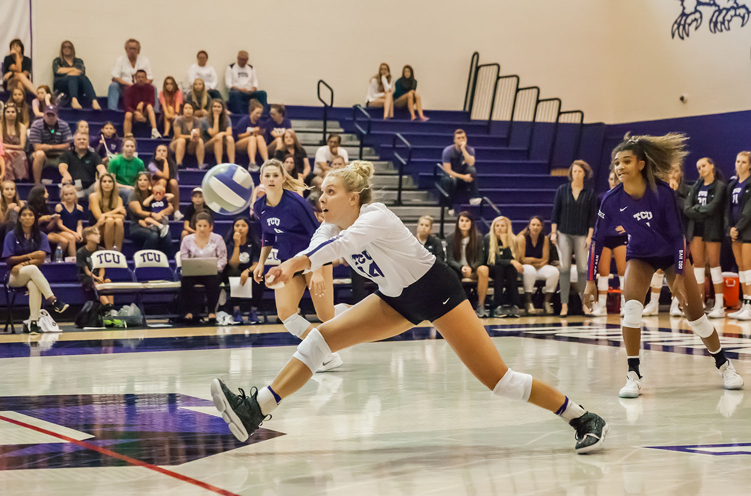 Volleyball Suffers First Loss Of Season To Florida State Tcu 360