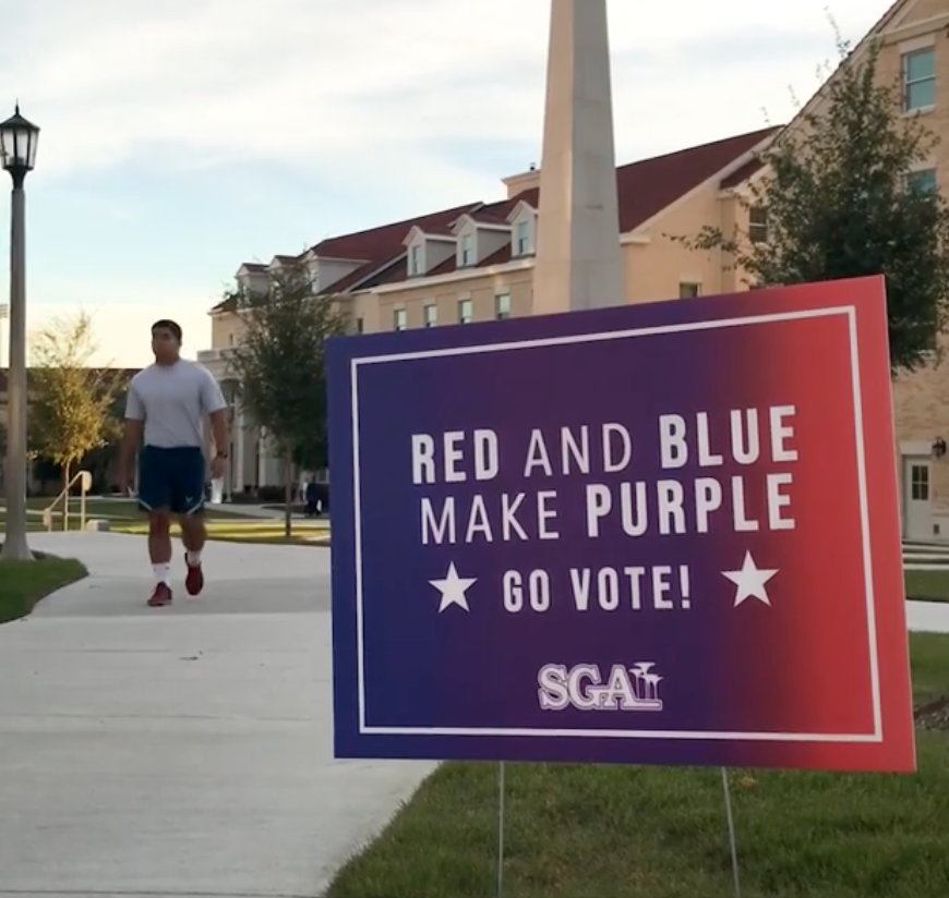 A sign in TCUs greek village encourages students to vote in the upcoming midterm election. (Hope Crockett/Staff Writer)