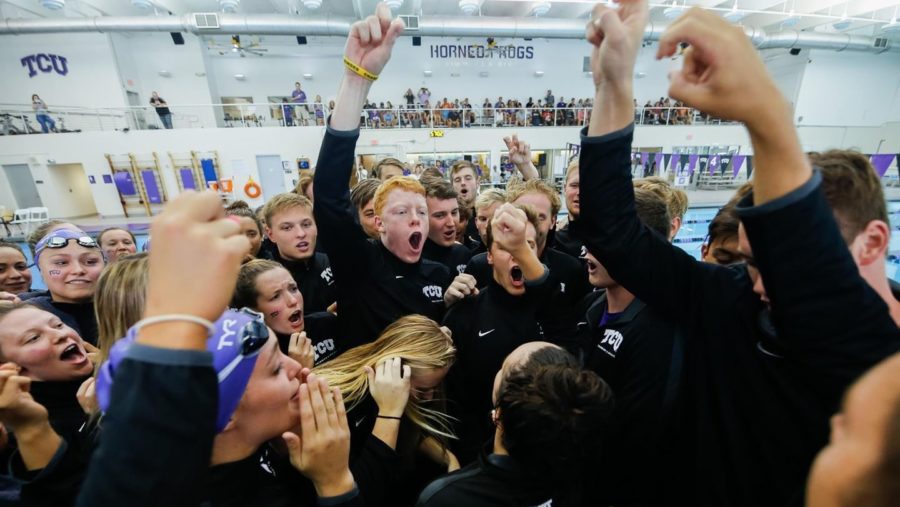 Swimming and diving teams dominate in home opener