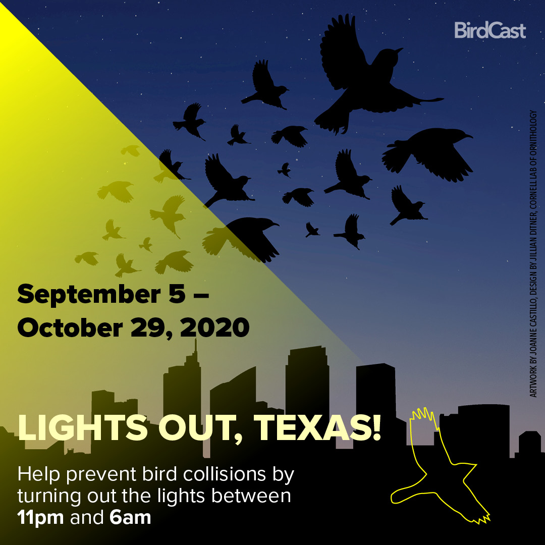 Lights Out Texas Darkened skies protect migratory birds this fall