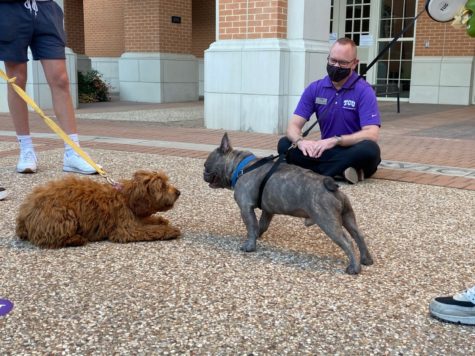 Neeley (left) plays with Runcle (right) at the Blessing of the Animals.