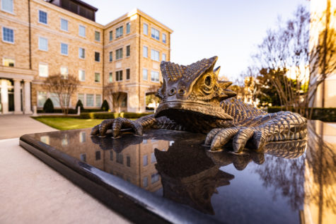 Frog Statue by Reed and Scharbauer Hall