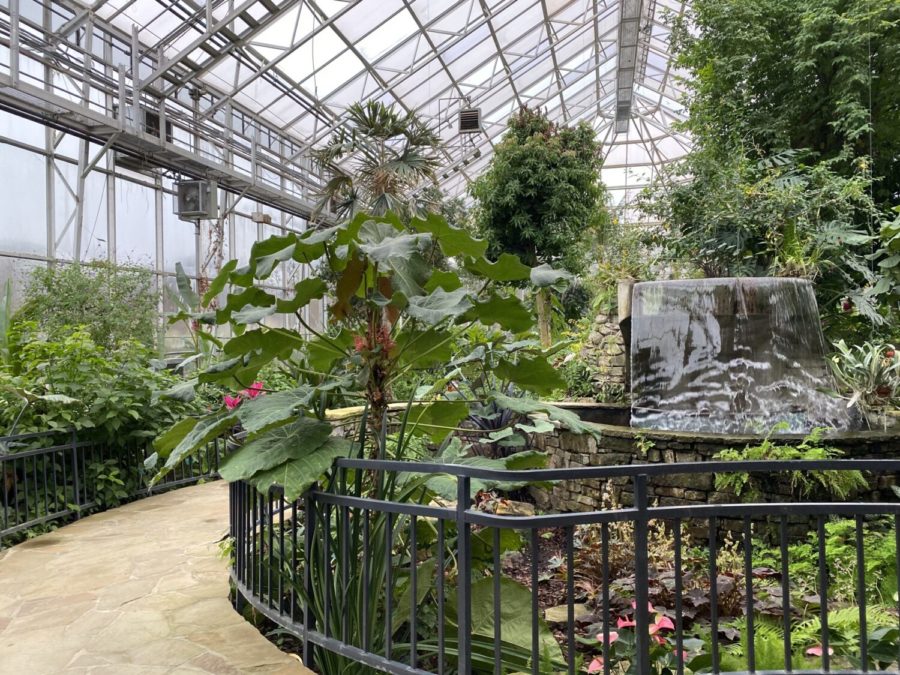 Inside the conservatory at the Fort Worth Botanic Gardens. Tables for dining will be placed along the pathway six feet apart to follow. (Caroline Fisher/Reporter) 
