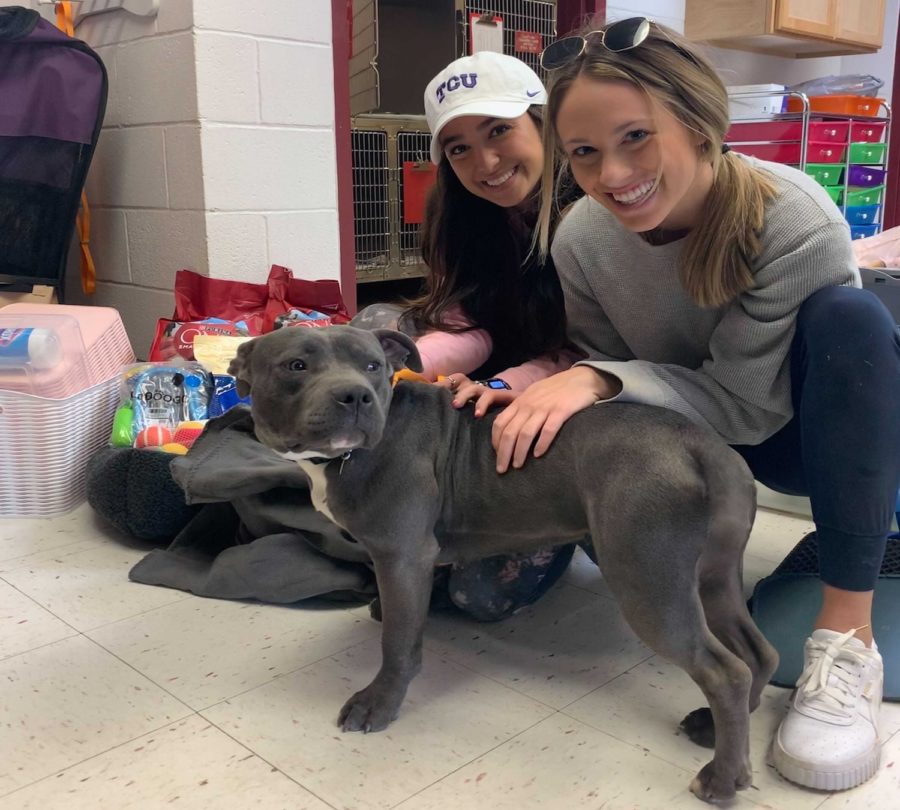 Marie Langer and Brittany Taylor smile with Ladybug while delivering donations from their Amazon Wishlist at the Euless Animal Shelter. Photo courtesy of Marie Langer. 