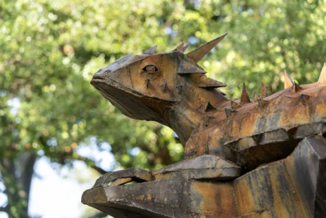 The bronze Horned Frog Statue greets students between Sadler and Reed Halls. TCU adopted the horned lizard as its mascot in 1893. (Jeffrey McWhorter/TCU Marketing and Communication)
