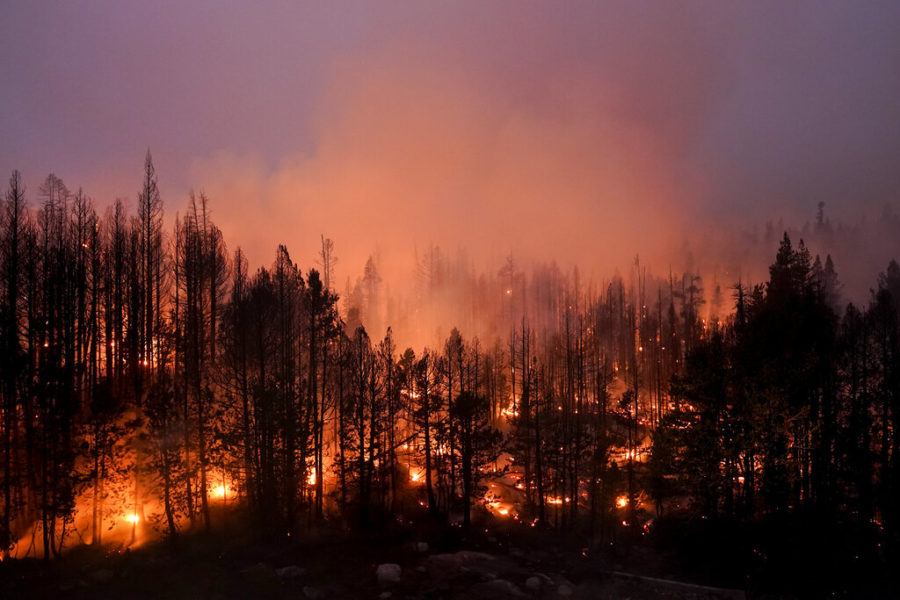 FILE - Trees scorched by the Caldor Fire smolder in the Eldorado National Forest, Calif., Friday, Sept. 3, 2021. The Biden administration wants to thin more forests and use prescribed burns to reduce catastrophic wildfires as climate changes makes blazes more intense. (AP Photo/Jae C. Hong, File)