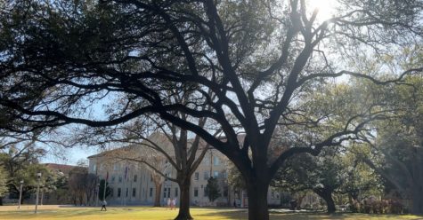 A shot of TCUs campus looking at Sadler Hall. (Katherine Vaughn/Staff Photographer)