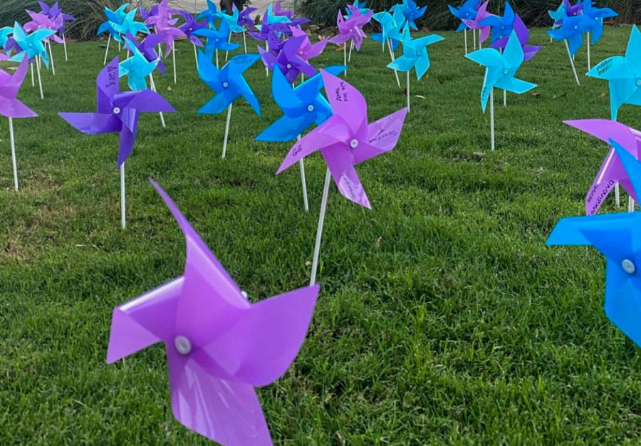 Purple and blue pinwheels were displayed outside Bass Hall on Sept. 21 in recognition of World Alzheimer’s Day. (Photo courtesy of Caroline Huttinger)