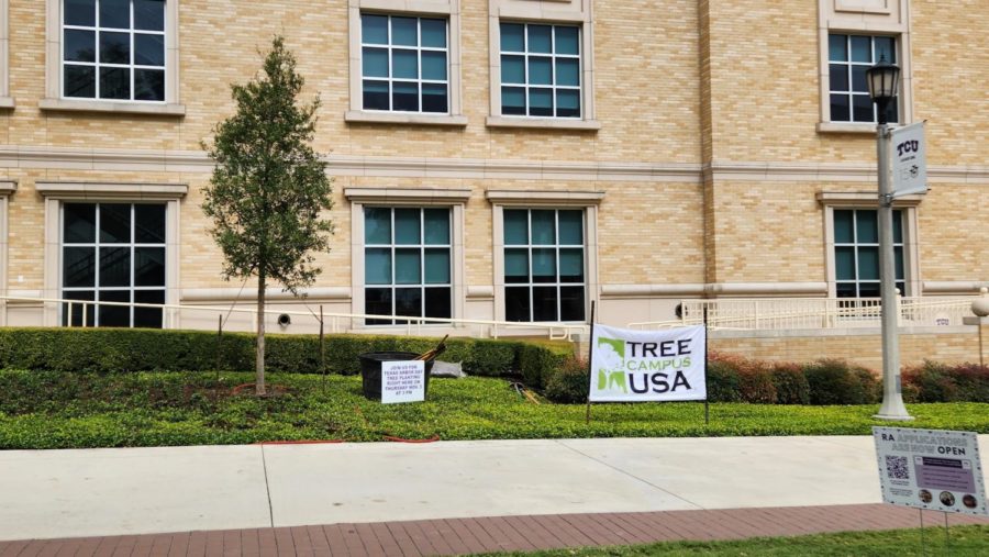 TCU+celebrates+Texas+Arbor+Day+with+a+tree+planting+on+the+west+side+of+the+Mary+Couts+Burnett+Library+on+Nov.+3%2C+2022.+%28Camilla+Price%2FStaff+Writer%29