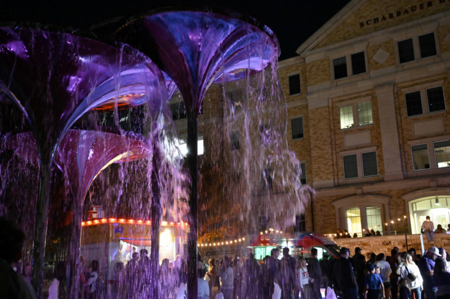 Frog Fountain surrounded by different food venues offered at the 2022 Christmas Lighting.  (Sophia Allen/Staff Photographer)
