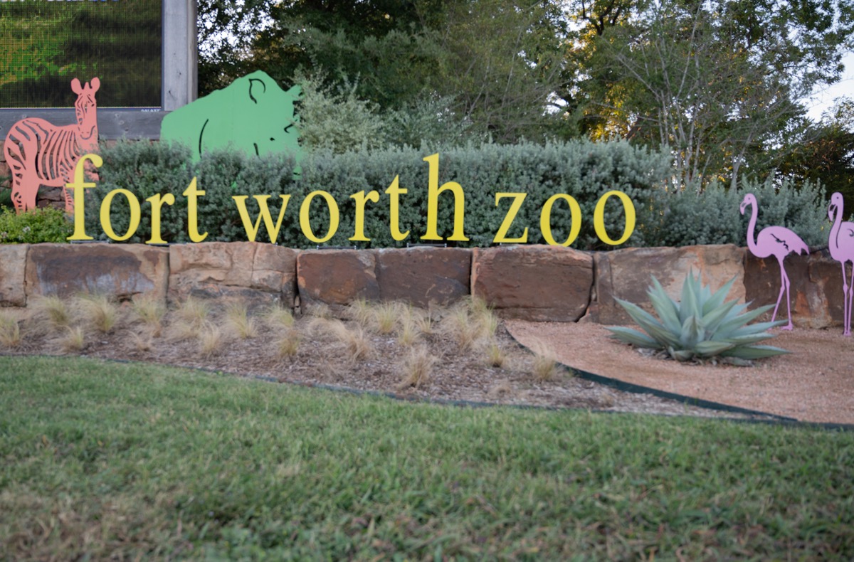 Fort+Worth+Zoo+to+celebrate+30th+Anniversary+Festival