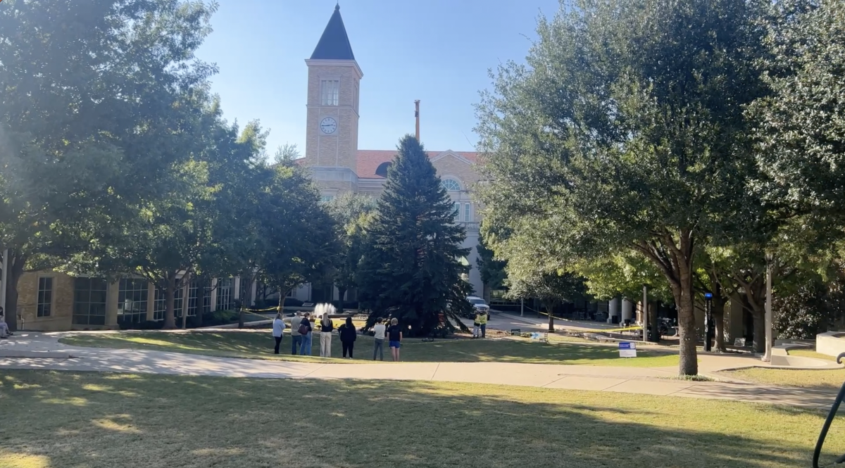 50FootTall Tree Arrives on Campus ahead of annual TCU Christmas Tree