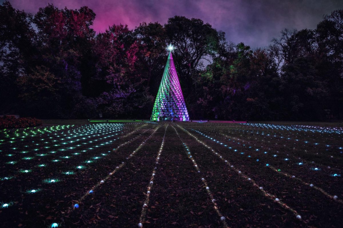 Christmas Tree displayed at Lightscape. (Photo courtesy of Fort Worth Botanic Garden)