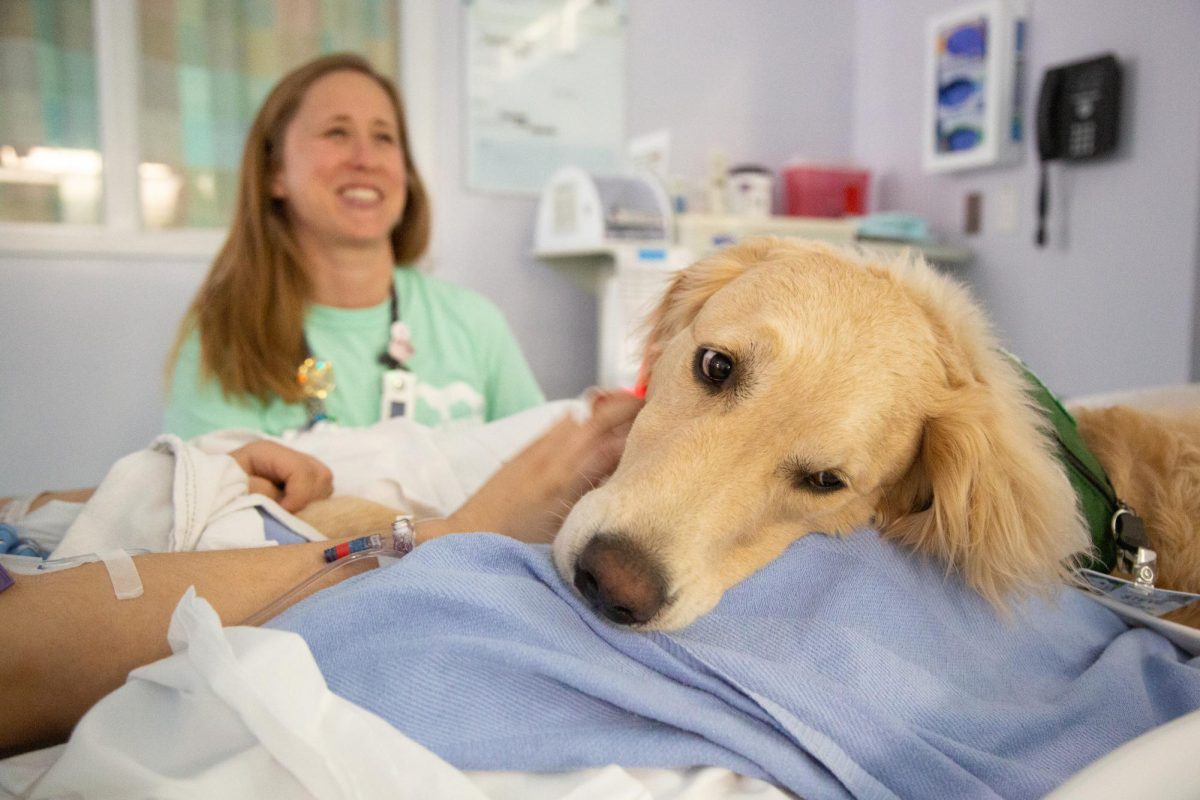 Laura Sonefeld and Steve play important roles in the hospital’s Sit…Stay… PLAY facility dog program.