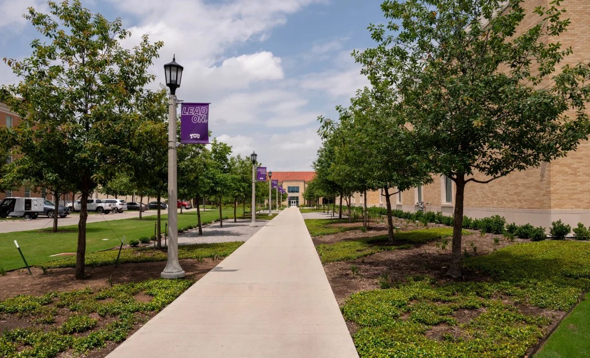 TCU's trees near the Van Cliburn Concert Hall (Colin Black/TCU360)