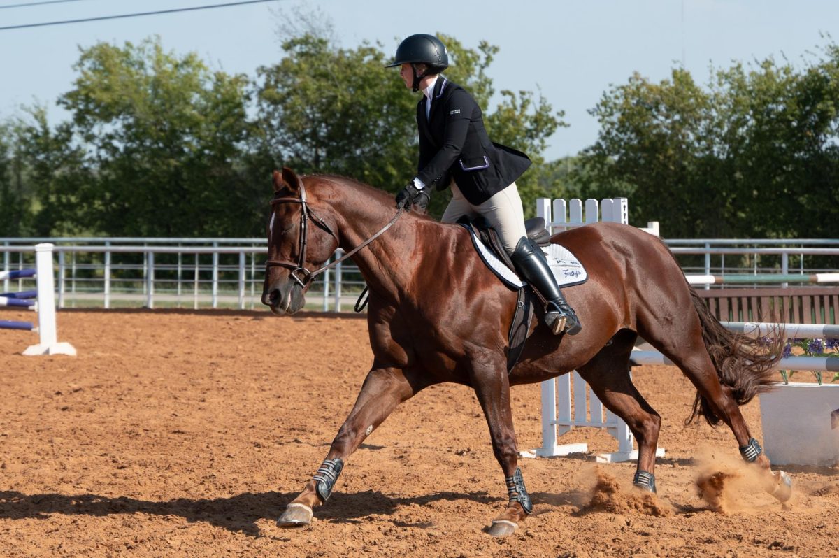 Maggie Dumrauf riding Java in Fences against Baylor. (Billy Banks/Staff Writer)