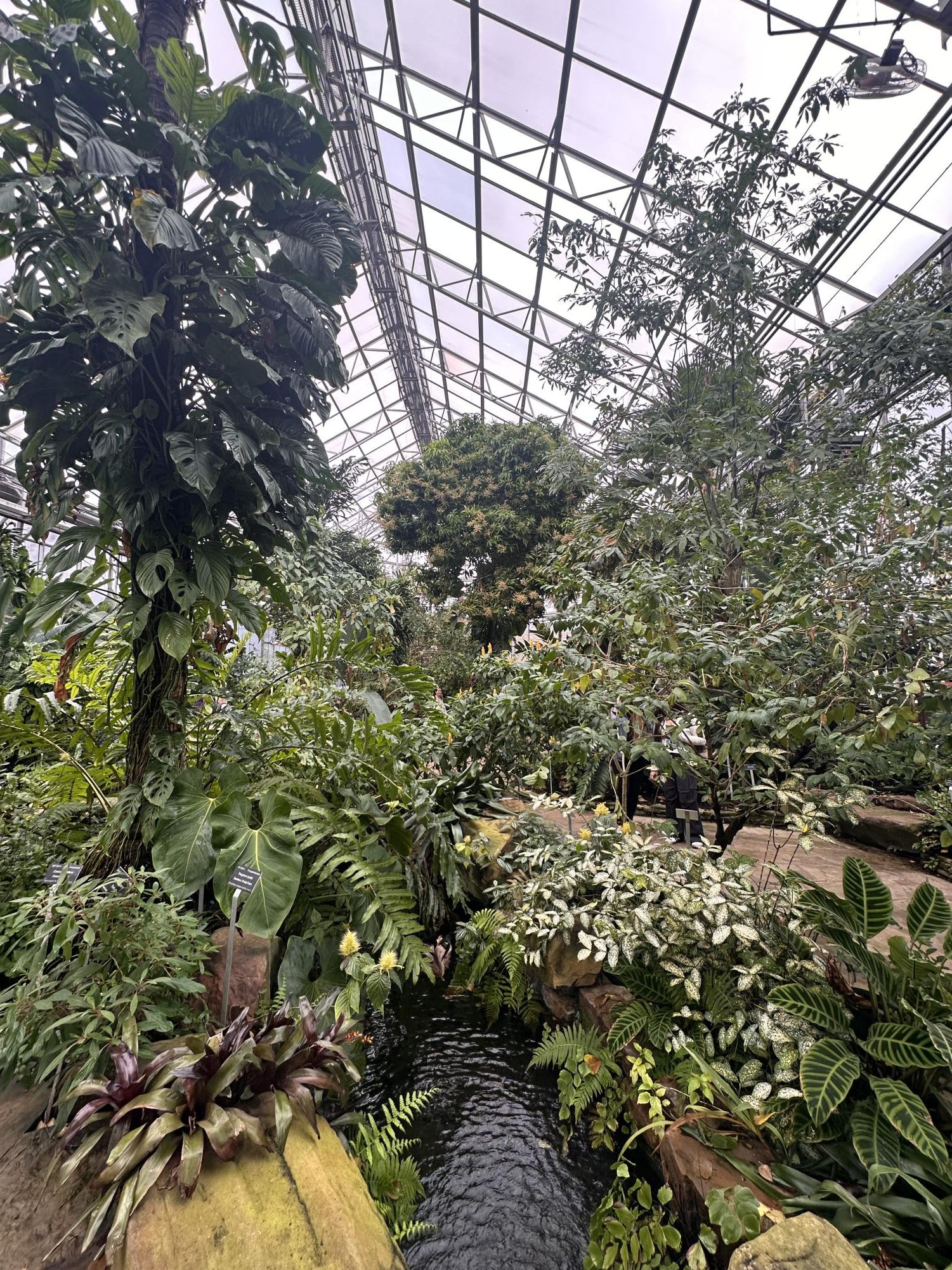 The Fort Worth Botanic Garden’s "Butterflies in the Garden" event offers visitors a chance to experience a vibrant conservatory filled with tropical plants and dozens of butterfly species, creating an interactive and immersive nature experience.