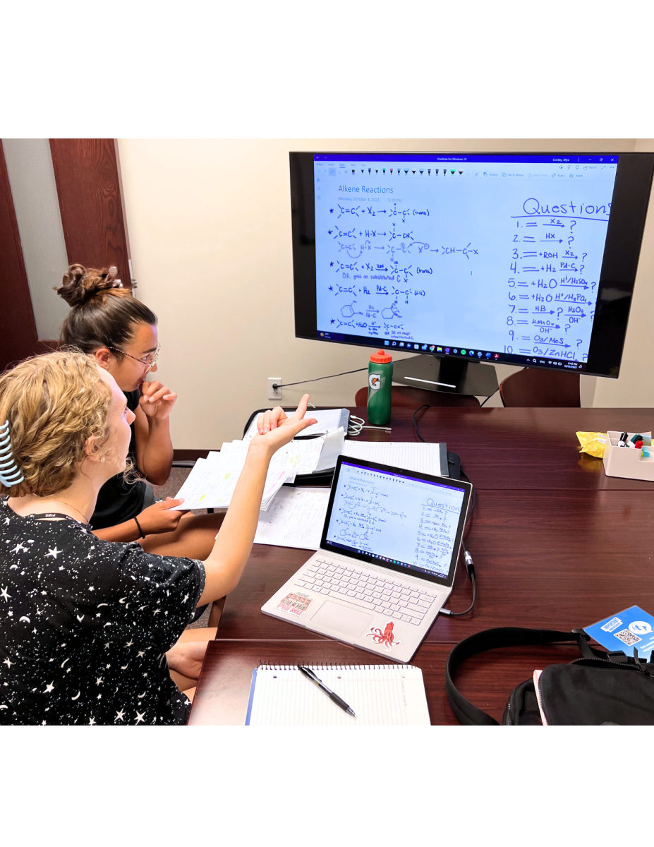 Private office spaces inside Samuelson Hall dedicated to Peer2Peer meetings. 