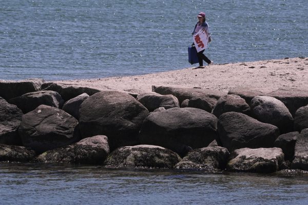 Audrey Constant, of Marshfield, Mass., is wrapped in a towel featuring the "Jaws" movie, while walking on a beach that was used as a filming location for the film five decades ago, Monday, May 12, 2025, in Edgartown, Mass., on Martha's Vineyard Island. (AP Photo/Charles Krupa)