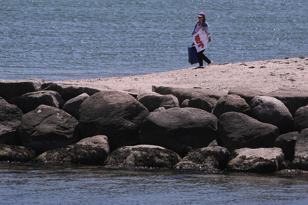 Audrey Constant, of Marshfield, Mass., is wrapped in a towel featuring the "Jaws" movie, while walking on a beach that was used as a filming location for the film five decades ago, Monday, May 12, 2025, in Edgartown, Mass., on Martha's Vineyard Island. (AP Photo/Charles Krupa)