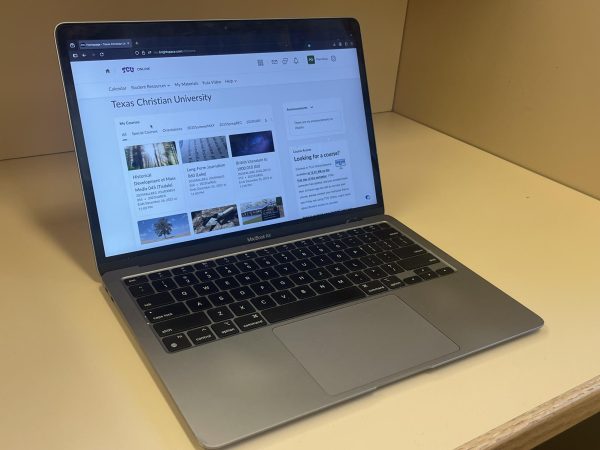 D2L TCU student homepage. (Pilar Olivas/Staff Writer)