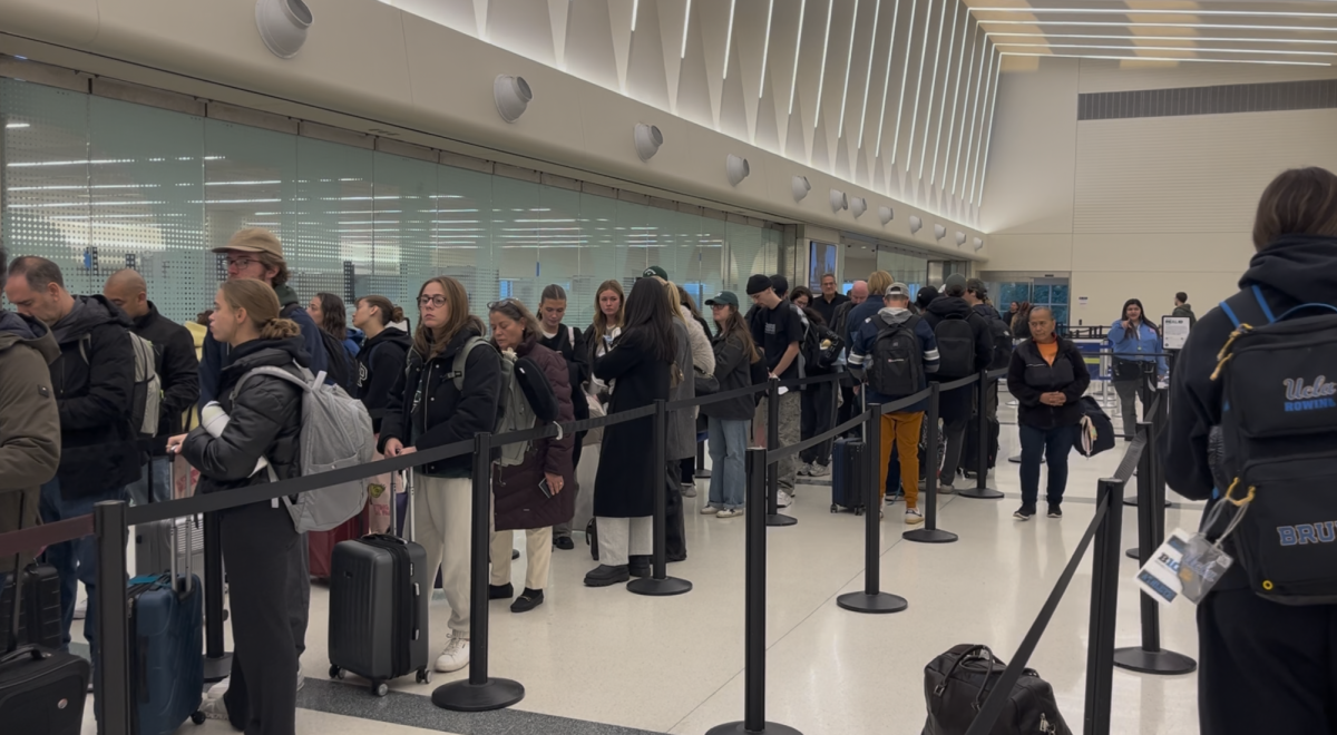 Long TSA lines at Chicago O'Hare International Airport. (Jade Otway)