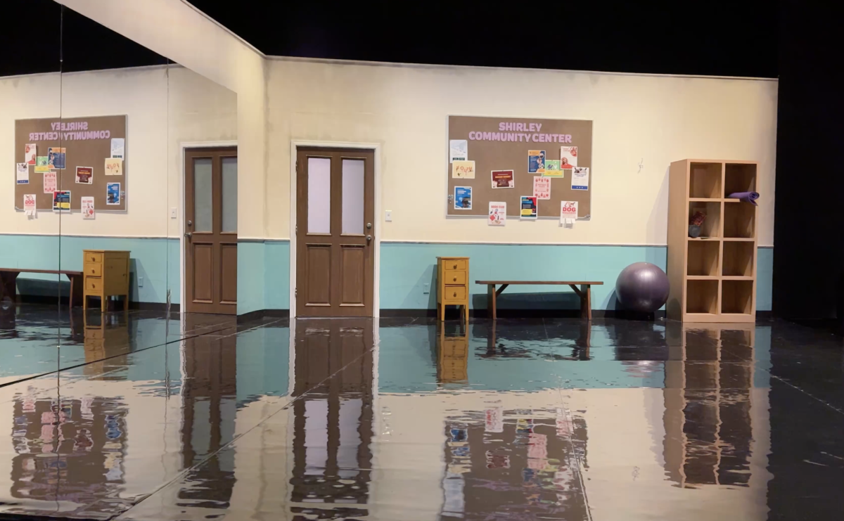 The set of Circle Mirror Transformation