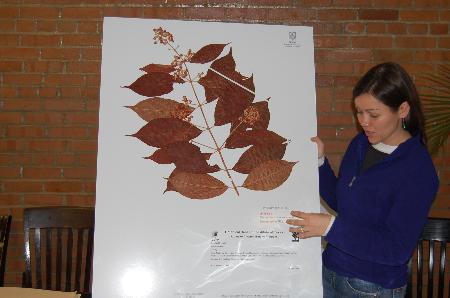 Alumna discovers orchid species in South America
