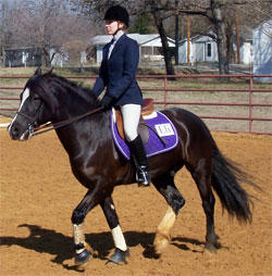 Young equestrian team gains match experience