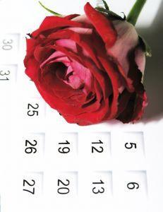 Campus Voices: What is your ideal Valentines Day date?